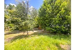 714 N Normandale Ave, ORLANDO