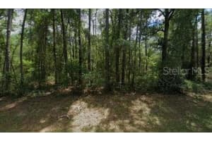 917 E Abend Dr, DUNNELLON