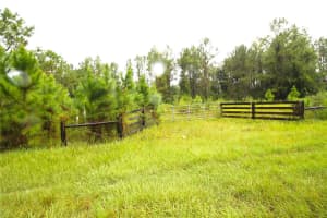 Youth Camp Rd, GROVELAND