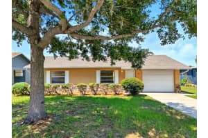 51 Cayman Cir, UMATILLA