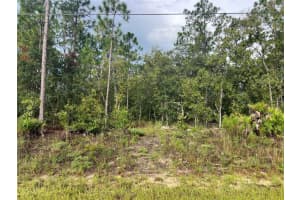 7180 N Henderson Way, DUNNELLON
