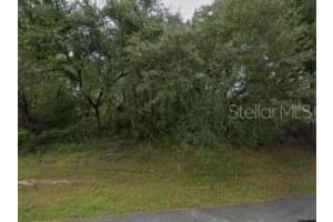 16593 Sw 31st Cirs, OCALA