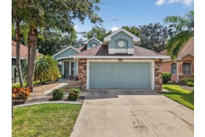 8252 Bridgeport Bay Circle, MOUNT DORA