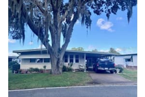 157 Royal Palm Dr, LEESBURG