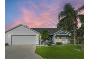 17602 Se 82nd Woodlawn Ave, THE VILLAGES