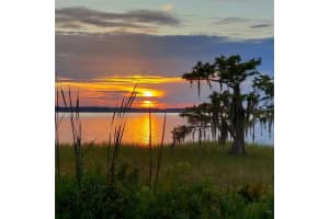 2225 Cypress Ct #2c, TAVARES