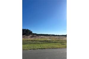 38404 Wooded Meadow Dr, UMATILLA 38404 Wooded Meadow Dr, UMATILLA