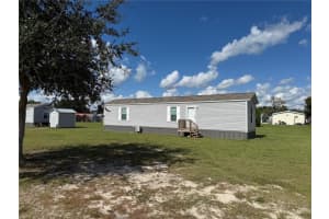 1141 Nw 12th Lane, LAKE PANASOFFKEE