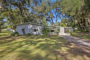 235 Griffin View Dr, LADY LAKE