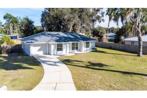 1015 Cr 463b, LAKE PANASOFFKEE