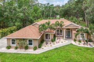 33943 E Lake Joanna Dr, EUSTIS