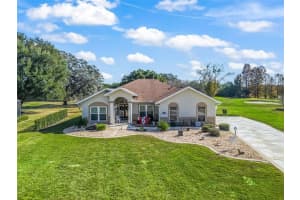 1409 Meadow View Way, LADY LAKE