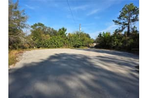 11975 Backland Path, POLK CITY