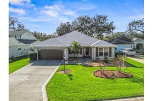 1339 Arbor Trl, THE VILLAGES