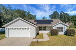 1203 Laurel Oak Ln, LADY LAKE
