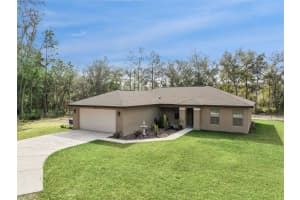 33134 Easter Dr, WEBSTER