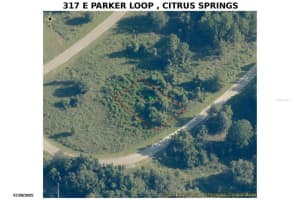 317 E Parker Loop, DUNNELLON 317 E Parker Loop, DUNNELLON