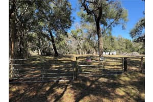 18630 Bradshaw Rd, DADE CITY