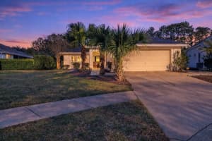 2250 Chase Ct, MOUNT DORA