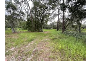 1451 Marker Rd, POLK CITY