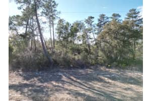 0000 Sw 170th Loop, OCALA