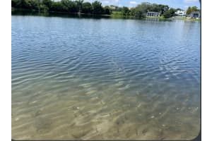 Westmoreland Ave, EUSTIS