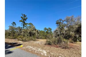 Lot 11 Poinciana St, EUSTIS