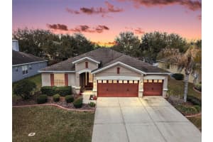 30516 Gidran Ter, MOUNT DORA