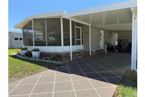 100 Papaya Cv, LEESBURG