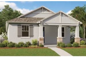 6327 Wild Persimmon Way, WINTER GARDEN