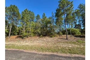 9161 N Marcus Way, CITRUS SPRINGS