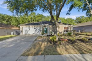625 Willow Run St, MINNEOLA