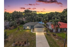 335 Vincent Dr, MOUNT DORA