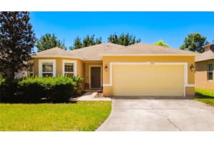 3631 Black Dog Ct, TAVARES