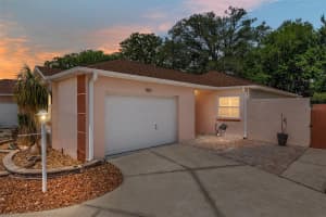 963 Avalon Ave, THE VILLAGES