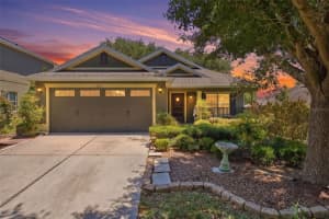 20831 Sullivan Ranch Blvd, MOUNT DORA 20831 Sullivan Ranch Blvd, MOUNT DORA