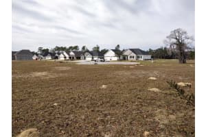 6400 Sw 180 Cir #lot 29, DUNNELLON