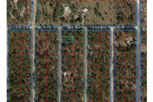 Se 134th Ter, DUNNELLON