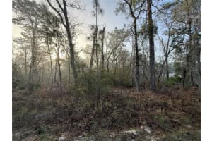16009 Sw 57th Terrace Rd, OCALA
