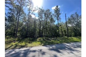 , DUNNELLON