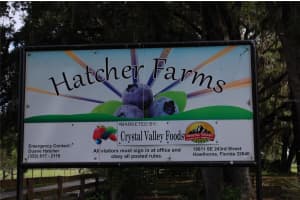 18811 Se 243rd St, HAWTHORNE 18811 Se 243rd St, HAWTHORNE