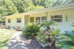 3820 Nw 15th Ave, GAINESVILLE