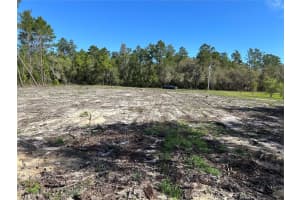 4298 Sw 179 Pl, OCALA