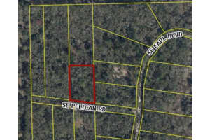 164 Se Pelican Rd, BRANFORD