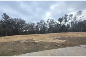 581 Sw Bellflower Dr, LAKE CITY