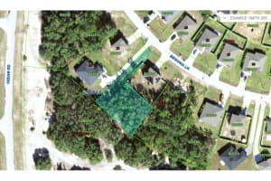 224 Begonia Ln, KISSIMMEE 224 Begonia Ln, KISSIMMEE