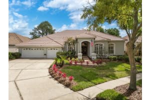 17815 Osprey Pointe Pl, TAMPA