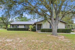 295 Sw Blueberry Pl, LAKE CITY