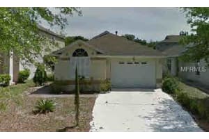 14945 Deer Meadow Dr , LUTZ