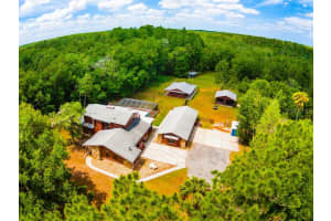 25205 Bunting Cir, LAND O LAKES 25205 Bunting Cir, LAND O LAKES